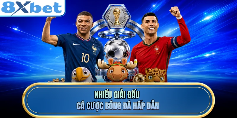 Nhiều giải đấu cá cược bóng đá hấp dẫn