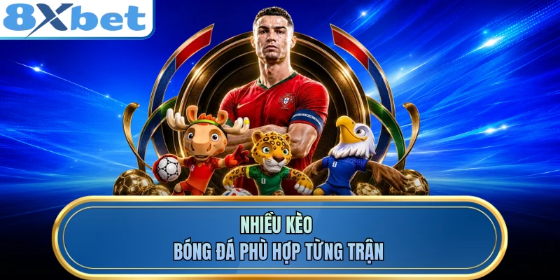 Nhiều kèo bóng đá phù hợp từng trận